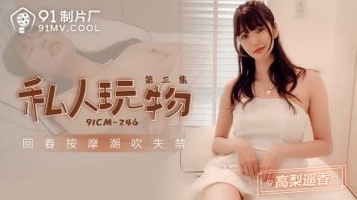 91CM-246 私人玩物 第三集-高梨遥香